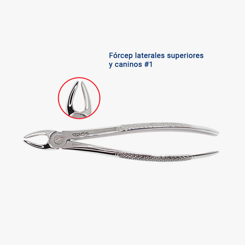 Fórceps-laterales-superiores--y-caninos-#1